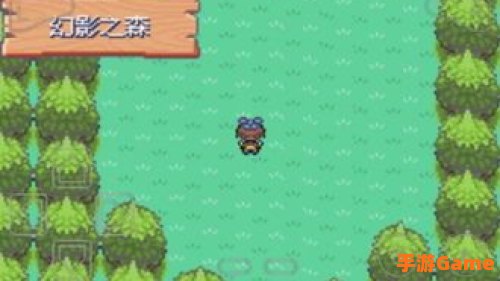口袋妖怪游戏