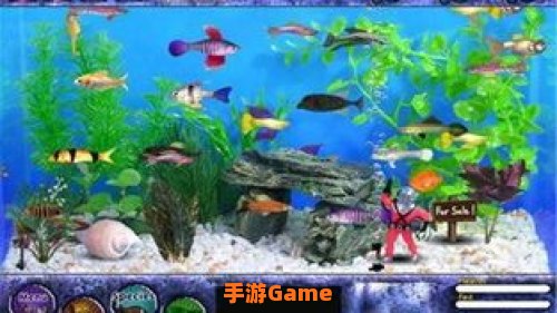 养鱼游戏