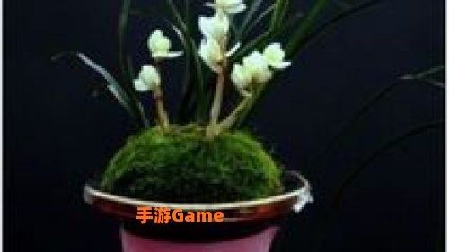 剑网三素冠荷鼎