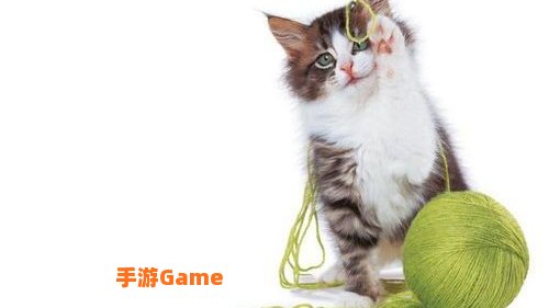 猫咪球