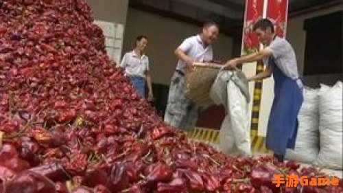 全国最大的辣椒交易市场在哪个镇